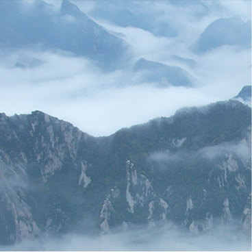 在线手机号轰炸软件